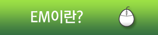 EM이란