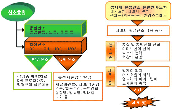EM환경센타 과정